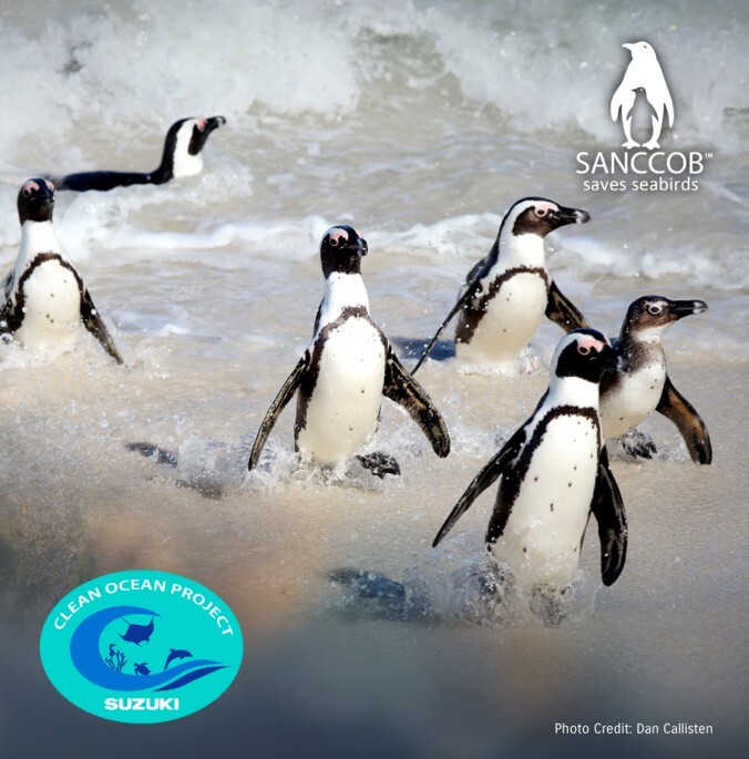 Penguins